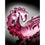 V5HD8995DF840CDE8750D173F7DBD938692R5108776P5