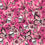 V4HDCDF68891E7B19C1AC0553606E28F900R4870360P6