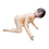 V3H1EC739FE4DDB094E502CB600C6C592EAR5544430P2