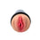V2HBFA0B6608B01EBE11D1D148E16467AAAR7215455P3